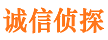 霞山外遇出轨调查取证